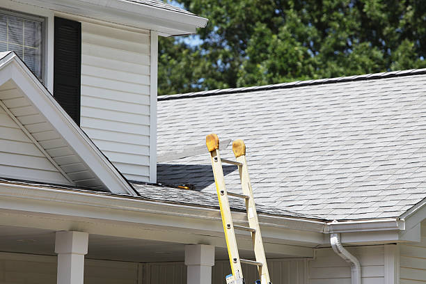 Best Property Management Cleanouts  in Fridley, MN